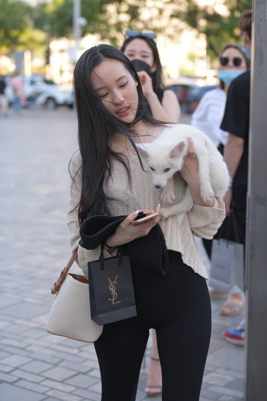 抱着小狗的漂亮女孩 J2106 136P-3.25GB-素云集